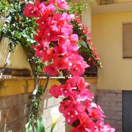 Al Trentados 3* Alghero